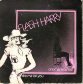 Shame On You - Flash Harry