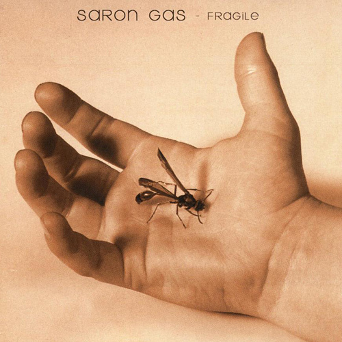 Fragile - Saron Gas
